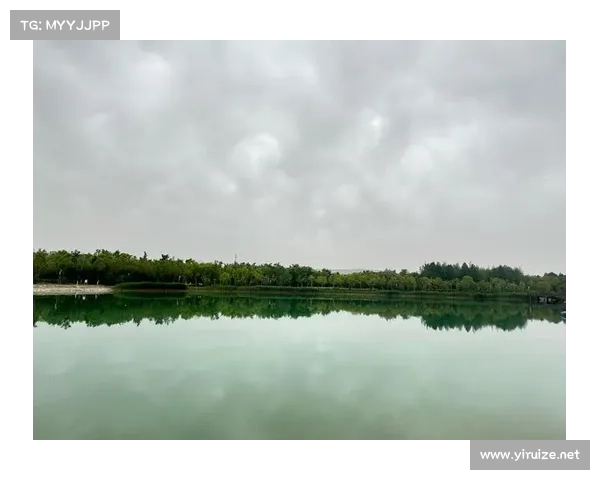 冬日湖畔的诗意与宁静之旅在寒风与倒影间找回心灵的安宁与温暖