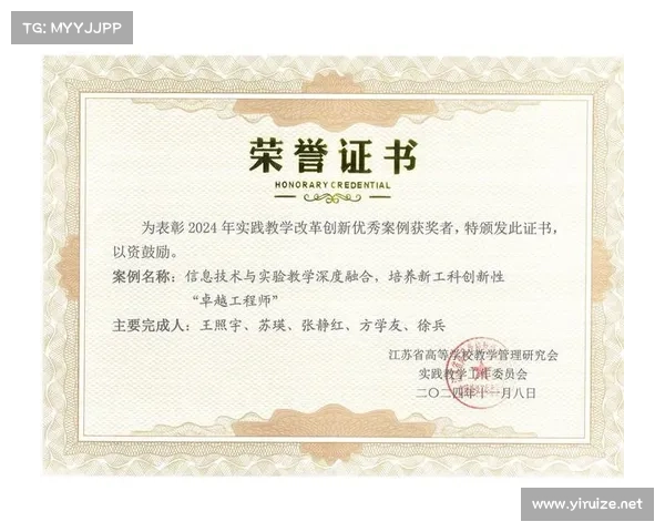DK宏技术应用研究中的十大优化策略与实践探索