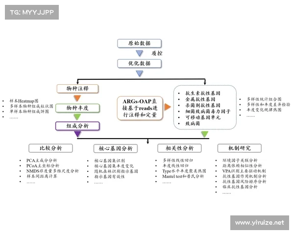 DK宏技术应用研究中的十大优化策略与实践探索 DK宏技术应用研究中的十大优化策略与实践探索
